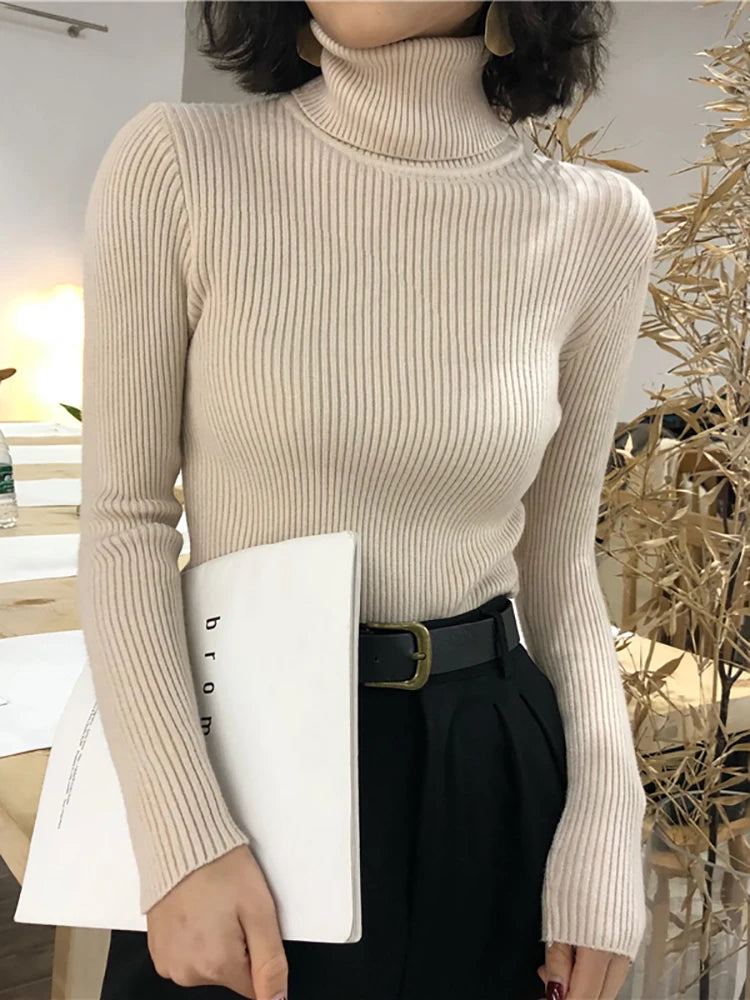 Damen Rollkragenpullover